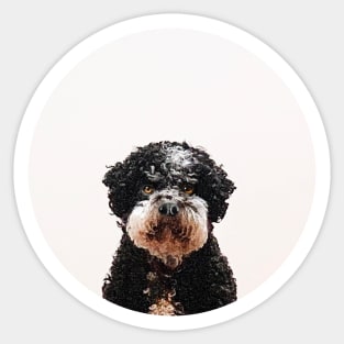 Buster the Havanese Dog Sticker